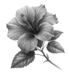 Retro halftone collage elements, halftone effect design, hibiscus retro design  © N2