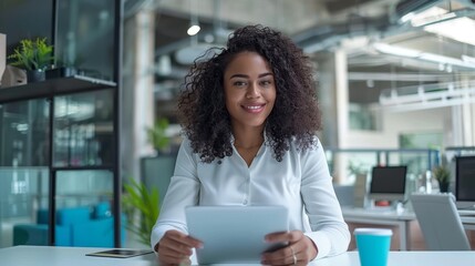 The professional woman at work
