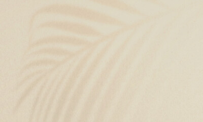 Obraz premium 夏の植物。リゾート地を連想させるシンプルでおしゃれな背景素材。