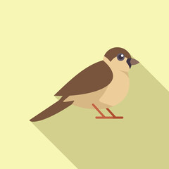Minimalist flat design icon of a little sparrow bird standing on the ground, with a long shadow