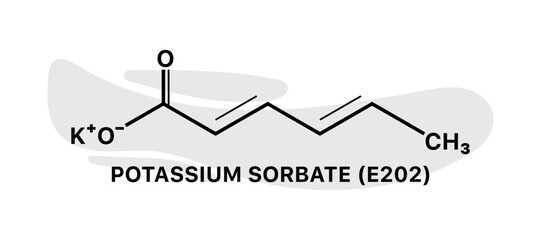 Potassium sorbate E202 banner. Chemical element banner. Linear and flat styles. Vector illustration.