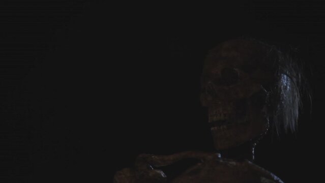Mummified skull barely lighted . 