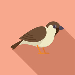 Minimalist illustration of a little sparrow standing, an image with a long shadow on a pink background