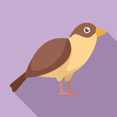 Small bird with brown and yellow feathers is standing on its tiny orange legs