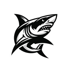 Illustration of a fierce shark in black and white