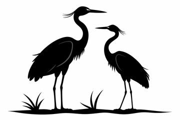 Heron couple in love  vector silhouette 