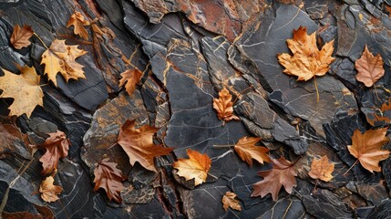 Obraz premium Autumn leaves on cracked dark rocks background image