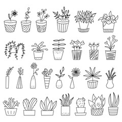 
Interior flowers in pot. Trendy decor doodle sketch botanical isolated elements collection. Gardening concept.