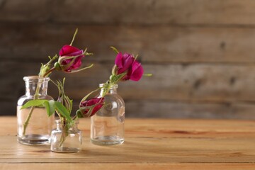 Beautiful roses in glass bottles on wooden table, space for text