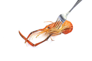 shrimps on a white background