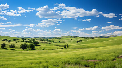 Obraz premium Stunning summer scenery featuring a green meadow under a blue sky adorned with fluffy clouds.
