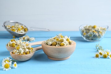 Dry and fresh chamomile flowers on light blue wooden table