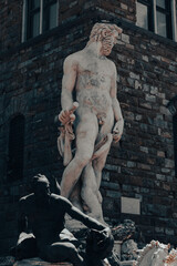 Obraz premium statue of david