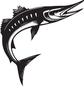 Barracuda clip art preview