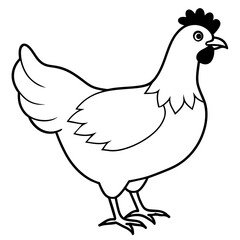 a black and white full chicken animal vector