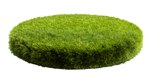 Patch of fresh green lawn grass, cut out