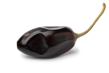 Single dried whole Chile Catarina, Catarina pepper isolated on white background close up