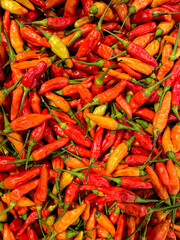 Red chilli peppers displayed on market, food background