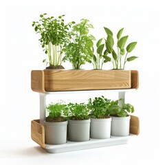 Fototapeta premium Herb Garden Kit A stylish kit for growing herbs at home, isolated white background, without shadow, single object, detailed, PNG dicut style, model object