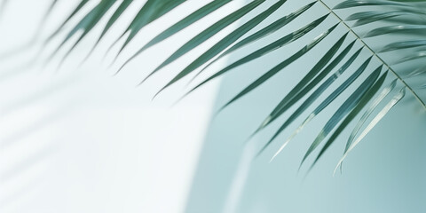 Obraz premium Elegant Summer Background with Palm Leaves and Shadows on Light Green Pastel Gradient, Perfect for Minimalistic Product Displays and Text Features