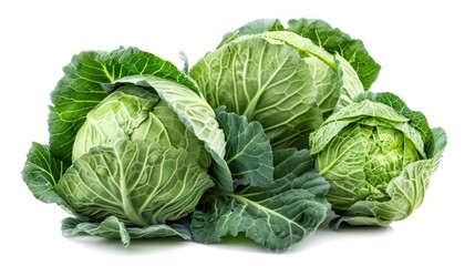 Cabbage isolated white background