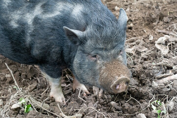 Frankreich Naturpark Morvan