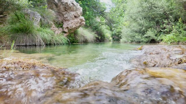 A river with a rocky shoreline and a lush green forest in the background. The water is calm and clear, reflecting the trees and rocks
