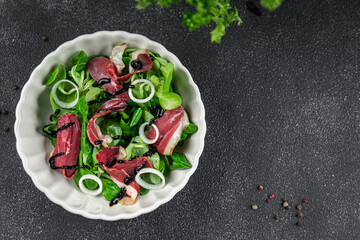 duck breast salad smoked duck meat magret natural fresh appetizer meal food snack on the table copy space food background
