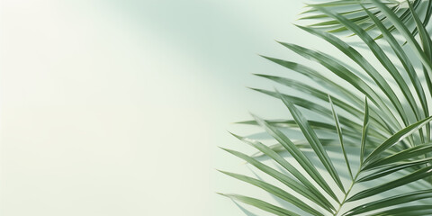 Obraz premium Elegant Summer Background with Palm Leaves and Shadows on Light Green Pastel Gradient, Perfect for Minimalistic Product Displays and Text Features