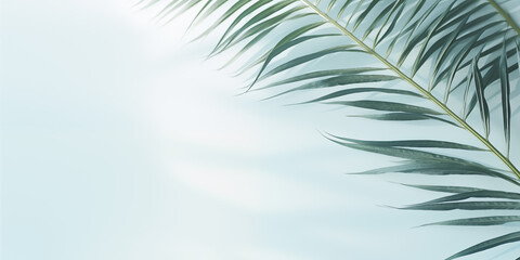 Elegant Summer Background with Palm Leaves and Shadows on Light Green Pastel Gradient, Perfect for Minimalistic Product Displays and Text Features