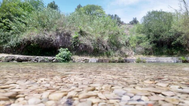 A body of water with a rocky shoreline and trees in the background. The water is calm and clear, and the rocks on the shoreline are scattered throughout the area. The scene has a peaceful