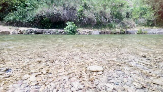 A river with a rocky shoreline and a small tree growing in the water. The water is clear and calm