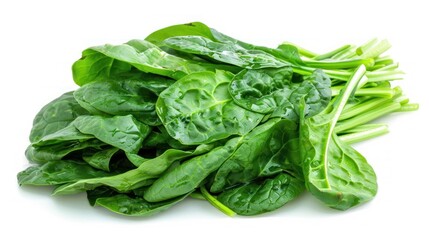 Spinach isolated white background