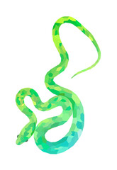 Light green Snake in Polygonal style. Triangular shapes, Beautiful thin flexible snake on white background. Print item decoration for websites or app.