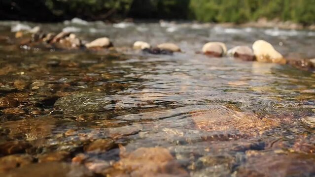 A serene video near McBride village, BC, shows clear river waters flowing over smooth rocks, with a lush forest in the background