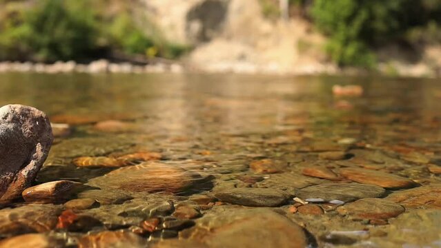 A serene video near McBride village, BC, shows clear river waters flowing over smooth rocks, with a lush forest in the background
