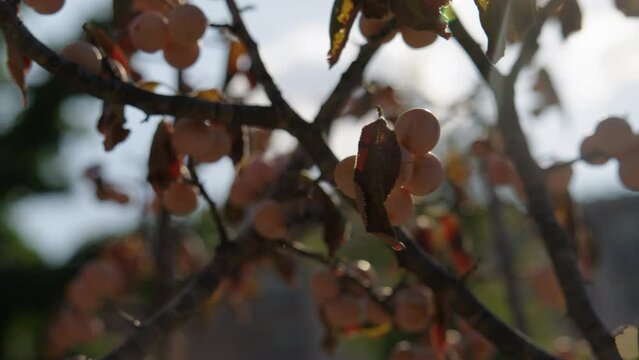 Dallas 555 Ross Apartments 5