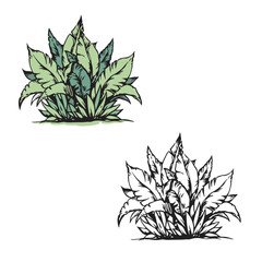Cartoon bush drawing with line art style. Easy to edit. Simple design outline style. Grass vector illustration