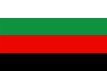 Flag of the city of Selidove