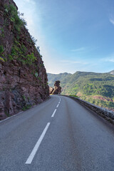 Road leading to the Gorges of Daluis, Regional Nature Reserve, Southern France