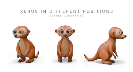 3D meerkat, view from different sides. Small rodent, xerus standing