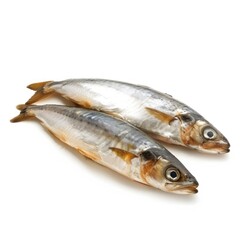Herring isolated on white background 