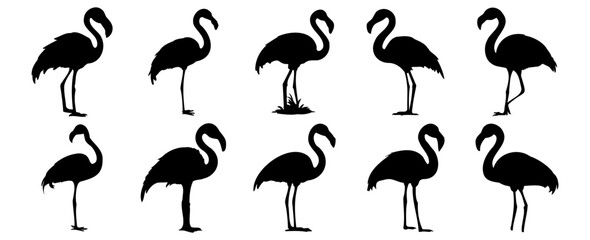 Flamingo silhouettes set, pack of vector silhouette design, isolated background