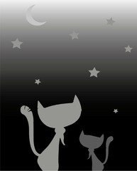 cat and moon