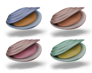 Collection of seashells of different colors. Isolated clams for web design