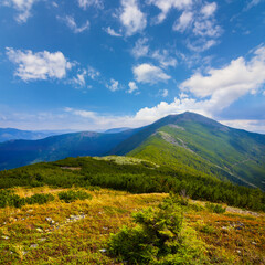 Obraz premium green mountain valley under blue cloudy sky