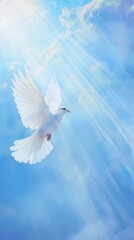 bird, dove, sky, pigeon, flying, blue, white, peace, wing, White doves fly in the air, sacred light shines down from above, blue background with white clouds, white feathers with light, pure and elega