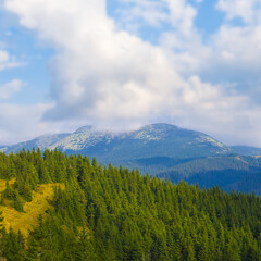 Obraz premium green mountain valley under blue cloudy sky