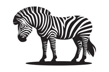 Vector zebras on white isolated graphical illustration