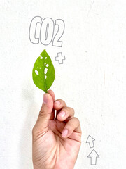 A hand holding a torn leaf with the words CO2 represents helping to preserve the environment